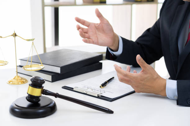 How Can an Appeal Lawyer Influence the Decision of a Trial Court?