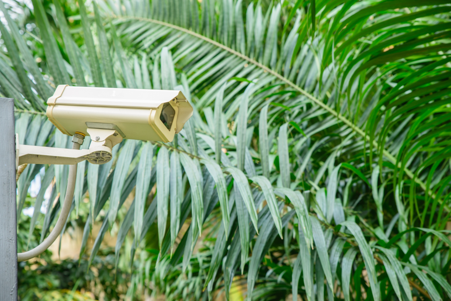 How To Protect Outdoor Security Cameras From Weather Damage?